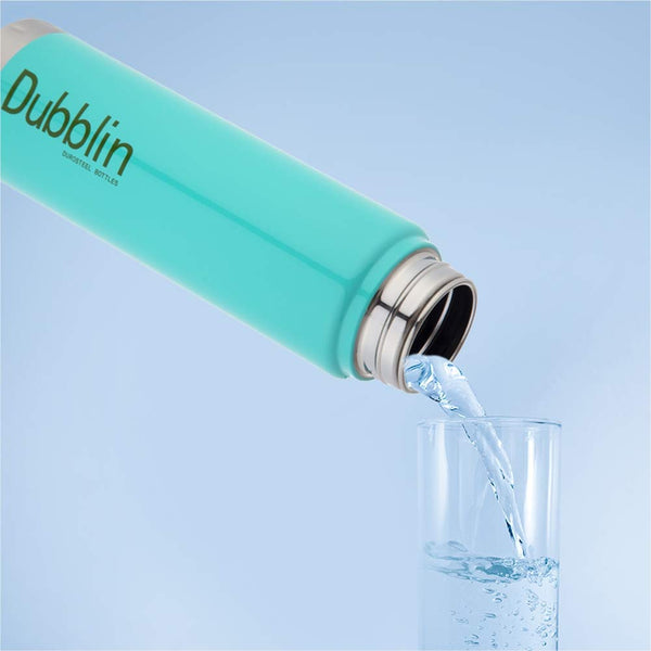 DUBBLIN ICE CUBE S.S FRIDGE BOTTLE 750ML